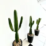 Chic & Cozy Studio In Sao Paulo - 27