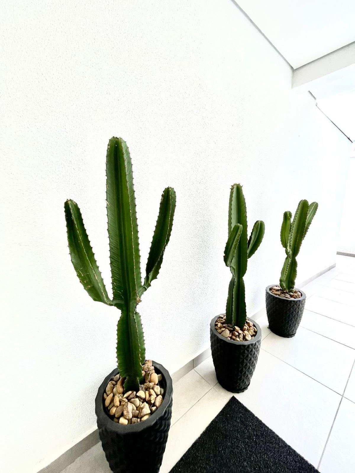 Apartamento Chic & Cozy In - 27 São Paulo